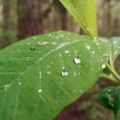 htc one m8 camera samples-11