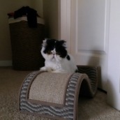 htc one m8 camera samples-2