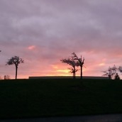 htc one m8 camera samples-4