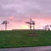 htc one m8 camera samples-5