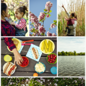 style-imagery-integration-introduce_scalea_large_mdpi