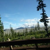 oneplus one camera samples-4 copy