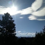 oneplus one camera samples-7