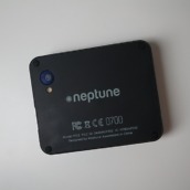 Neptune Pine - 9