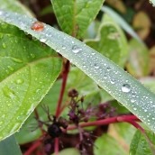 Galaxy Alpha Photos - 2