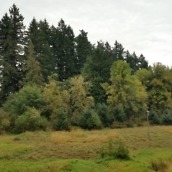 Galaxy Alpha Photos - 4