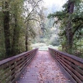 Galaxy Alpha Photos - 5