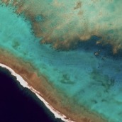 lollipop wallpapers4