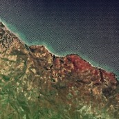 lollipop wallpapers6