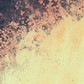 lollipop wallpapers8