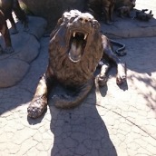 xperia z3 compact camera-11