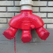 xperia z3 compact camera-2