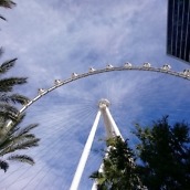 xperia z3 compact camera-5