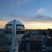 xperia z3 compact camera-9