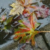 IMG_20141103_075844~2