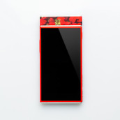 google project ara-39