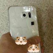 Galaxy S6 Leak 2