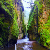 20150404_220039_HDR_수정