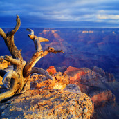 20150408_092025_수정