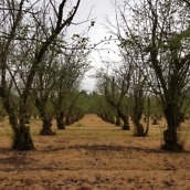 S6 Edge Camera Resized - 1