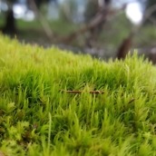 S6 Edge Camera Resized - 4