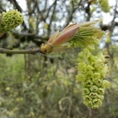 S6 Edge Camera Resized - 6