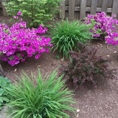 one m9 camera samples7