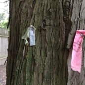 one m9 camera samples9