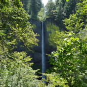 galaxy s6 active samples-4