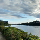 moto g 3rd gen samples-3