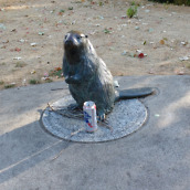 moto g 3rd gen samples-4