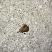 OnePlus 2 Camera Shots1