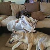 OnePlus 2 Camera Shots11