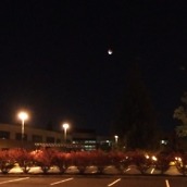 OnePlus 2 Camera Shots2