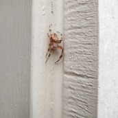 OnePlus 2 Camera Shots6