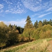 OnePlus 2 Camera Shots7