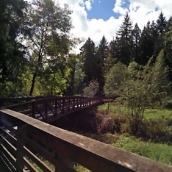 OnePlus 2 Camera Shots8