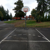 nexus 5x camera samples-26