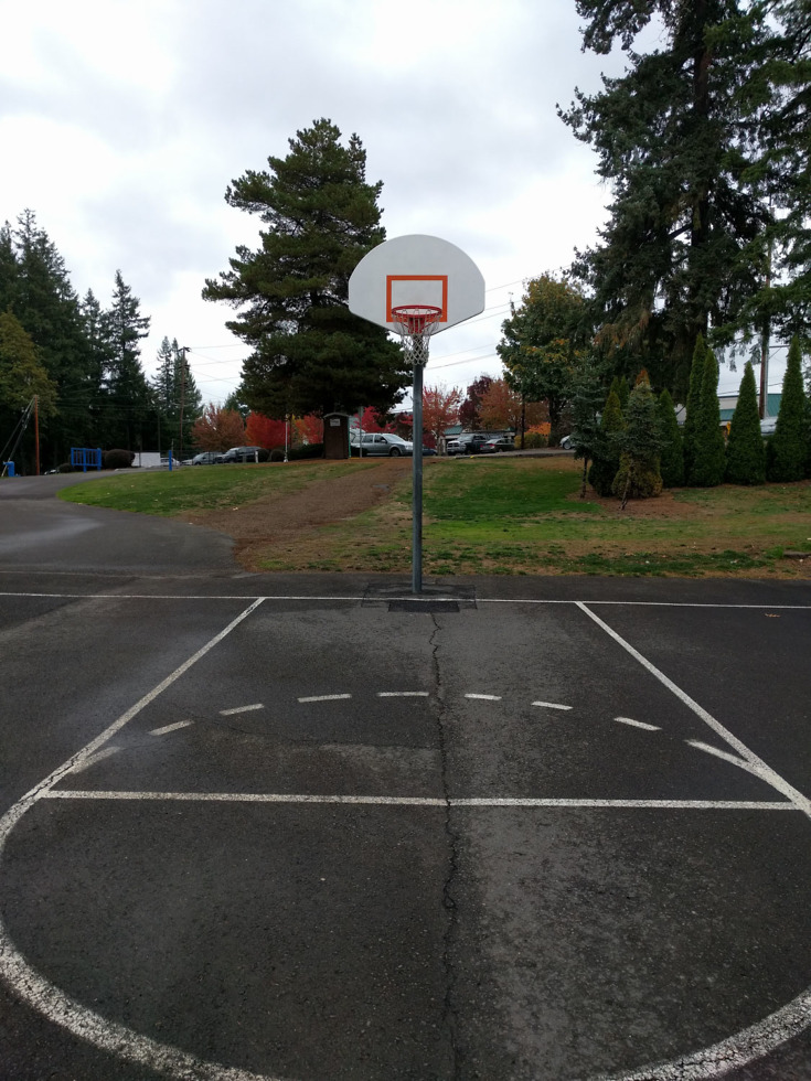 nexus 5x camera samples-26