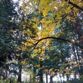 DROID Maxx 2 Pictures 10