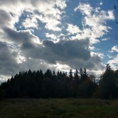 DROID Maxx 2 Pictures 11