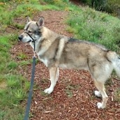 DROID Maxx 2 Pictures 2