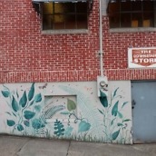 droid turbo 2 camera samples-6