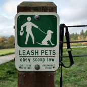 droid turbo 2 camera samples-8