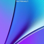 12647616_10205787781436897_362119343_n