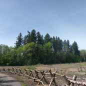 htc 10 camera samples-sized-13