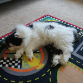 lg g5 camera samples-12