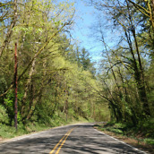 lg g5 camera samples-14