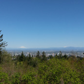 lg g5 camera samples-28