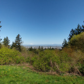 lg g5 camera samples-29